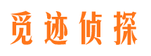 阿勒泰市调查公司